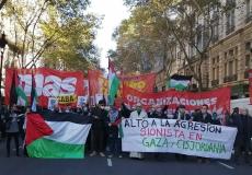مظاهرات تضامن مع فلسطين - أرشيف