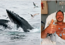 صورة الصياد الأمريكي "مايكل باكارد" الذي ابتلعه الحوت وبصقه