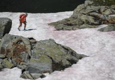 ظاهرة "الجليد الدامي" أو "ثلج البطيخ"