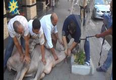 أدعية ذبح الأضحية