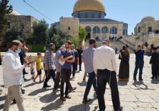 جانب من اقتحامات المستوطنين للمسجد الاقصى اليوم