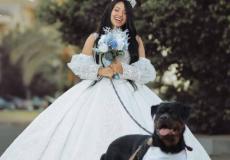 فتاة مصرية تتزوج من كلب وتثير ضجة كبيرة!