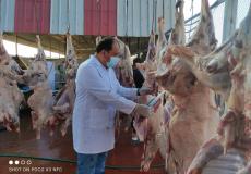 ذبح الأضاحي في غزة