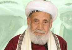 محمد بن اسماعيل العمراني العلامة اليمني