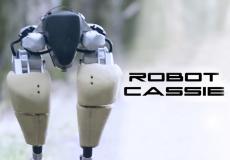 ROBOT cassie