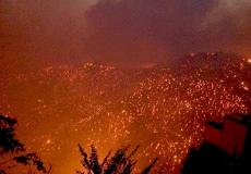 وفاة 7 أشخاص في حرائق الجزائر