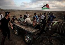 فلسطينيون نقلوا إصابة على عربة بدائية يوم السبت الماضي