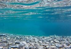 مشروع أليف تحت الماء بين السعودية واسرائيل