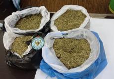 ضبط مواد مخدرة في منزل مواطنة بقلقيلية