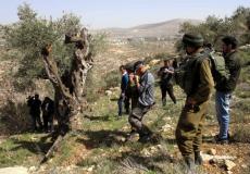 الأغوار الشمالية