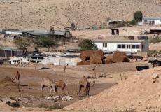 بدو النقب-أرشيف