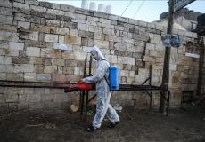 تفشي فيروس كورونا في فلسطين