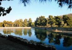 برك سليمان في بيت لحم