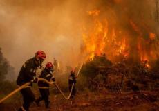 حرائق الغابات في الجزائر