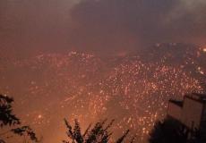 سبب حرائق الغابات في مدينة تيزي وزو بالجزائر