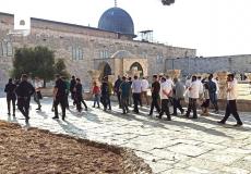 مئات المستوطنين يقتحمون الأقصى والاحتلال يعتقل شابا من باحاته