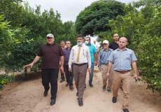 وكيل الزراعة بغزة أيمن اليازوري