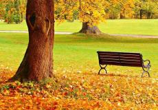 فصل الخريف 2021