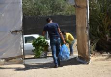 العمل الزراعي يوزع طرود غذائية على الأسر الفقيرة في غزة