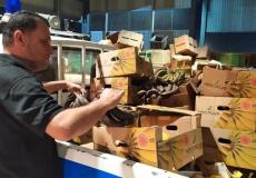 وزارة الاقتصاد تضبط خمسة أطنان من البضائع الفاسدة في  نابلس