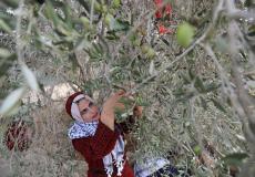 انطلاق حملة فزعة في فلسطين