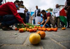 مزارعون من غزة يتلفون كميات من محاصيلهم اليوم