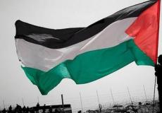 علم فلسطين - توضيحية