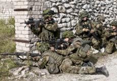 الجيش الاستوني