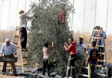 المزارعين الفلسطينيين