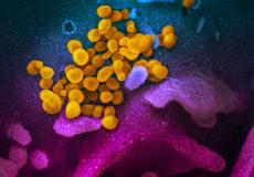 اوميكرون المتحور