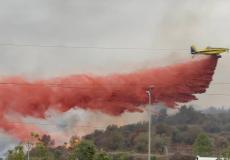 حريق ضخم شمال إسرائيل