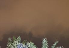 امطار على بعض المناطق في الكويت