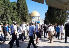 اقتحامات المستوطنين للمسجد الأقصى لم تتوقف - أرشيف