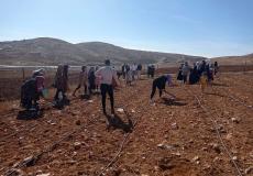 المركز الفلسطيني ينفذ يوم حقلي في شرق يطا 