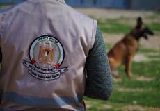 مكافحة المخدرات بغزة تضبط 4310 حبة مُخدرة