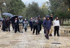 اقتحام الأقصى - أرشيف