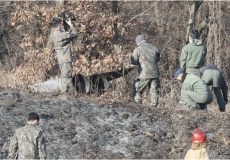 صورة من تحطم المقاتلة الكورية الجنوبية