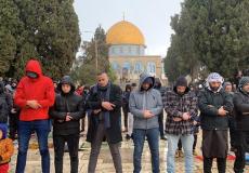 فلسطينيون يصلون في رحاب المسجد الأقصى - توضيحية