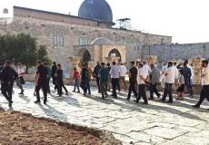 اقتحام المسجد الأقصى - أرشيف