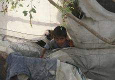 60% من الأسر في قطاع غزة تعاني من انعدام الأمن الغذائي