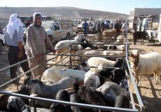 أسعار الأضاحي 2023 في السعودية،