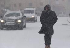 منخفض قطبي في فلسطين - ارشيف