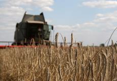 أسعار القمح ستشهد ارتفاعا بنحو 60%
