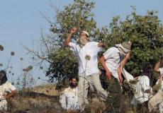 اعتداءات المستوطنين - أرشيفية