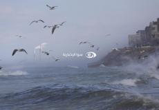 طقس فلسطين - بحر غزة