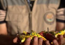 ضبط 825 قطعة مفرقعات بالوسطى وخانيونس