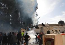 احتراق احدى أشجار المسجد الأقصى