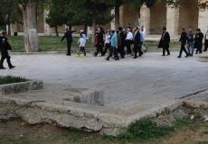 من اقتحام المسجد الأقصى اليوم