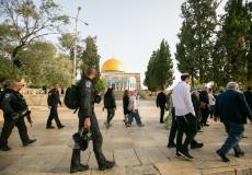 اقتحام باحات المسجد الأقصى اليوم اليوم