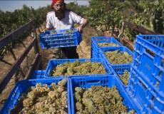 منتجات المستوطنات الإسرائيلية